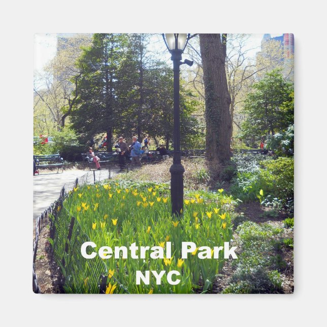 Central Park, New York City Magnet (Vorne)