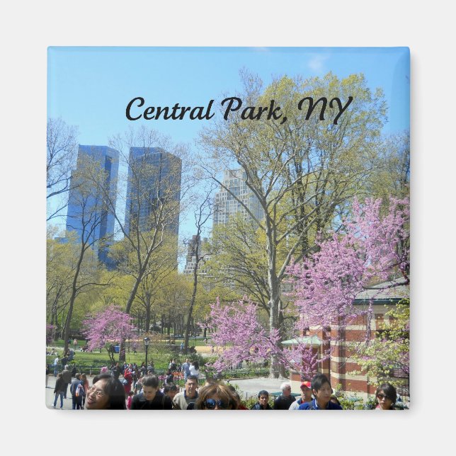 Central Park, New York City Magnet (Vorne)
