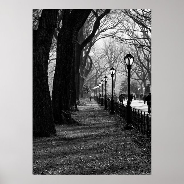 Central Park, New York City Poster (Vorne)