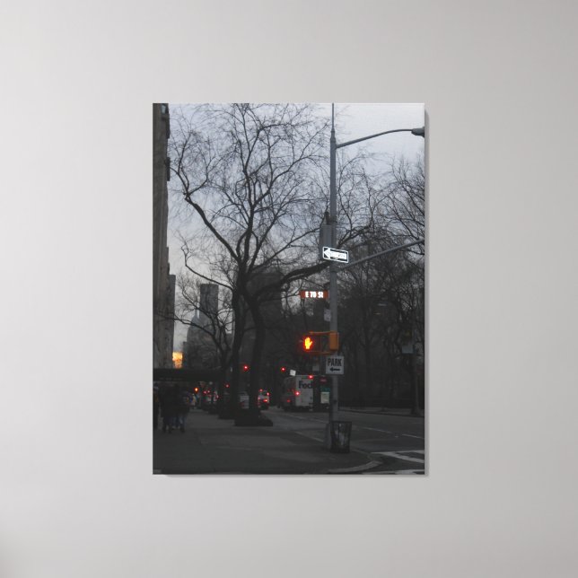 Central Park, New York City, USA Leinwanddruck (Vorderseite)