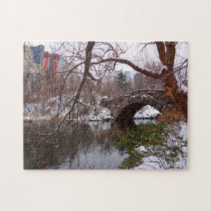 Central Park New York. Puzzle