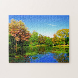 Central Park New York. Puzzle