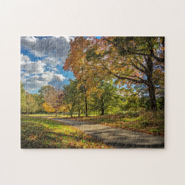 Central Park New York Puzzle (Horizontal)