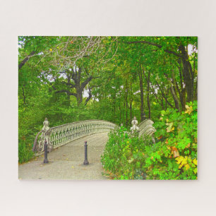 Central Park New York. Puzzle