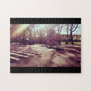 CENTRAL PARK NEW YORK PUZZLE