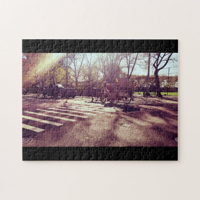 CENTRAL PARK NEW YORK PUZZLE (Horizontal)