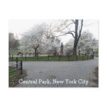 Central Park New York Springtime Path with Trees