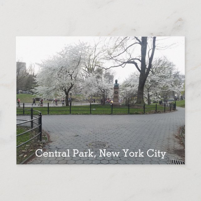 Central Park New York Springtime Path with Trees Postkarte (Vorderseite)