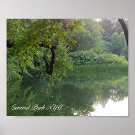 Central Park New York Turtle Pond Poster