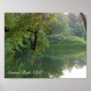 Central Park New York Turtle Pond Poster