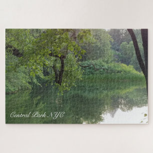 Central Park New York Turtle Pond Puzzle