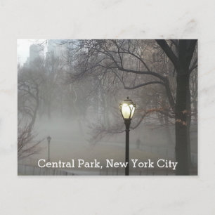 Central Park New York Winter Fog Landschaftliche A Postkarte