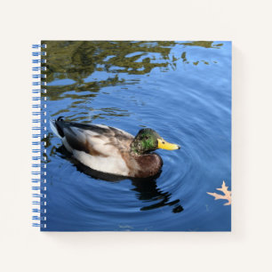 Central Park NYC Conservatory Water Mallard Duck Notizbuch