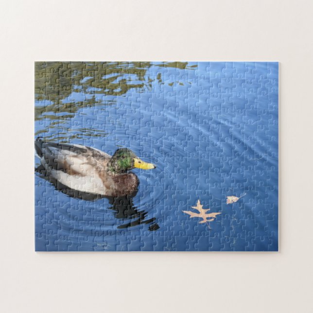 Central Park NYC Conservatory Water Mallard Duck Puzzle (Horizontal)