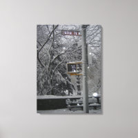 Central Park NYC New York City Winter Snow Foto