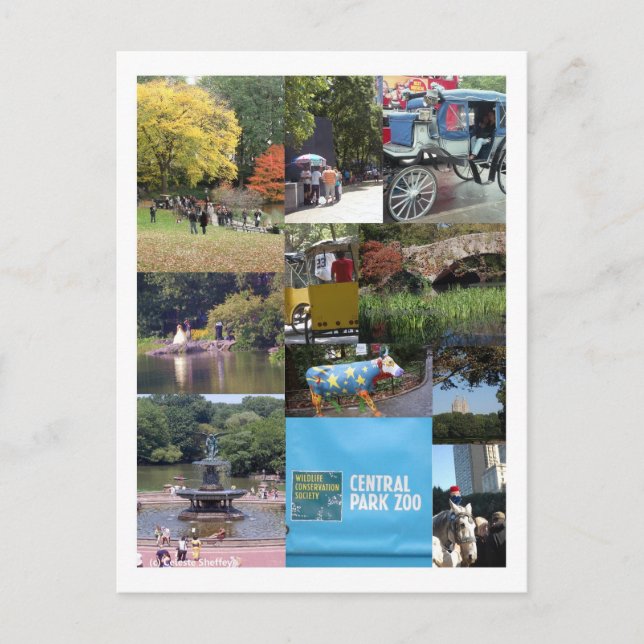 Central Park - NYC Postcard Postkarte (Vorderseite)