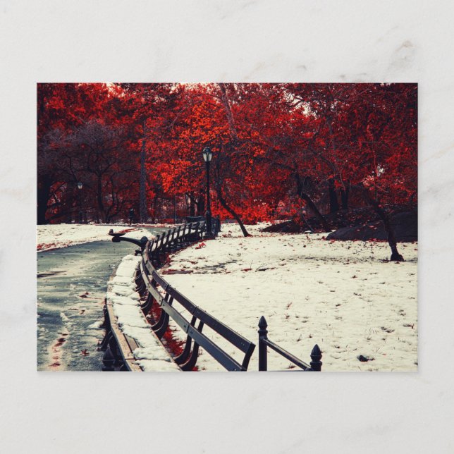 Central Park, NYC Postkarte (Vorderseite)