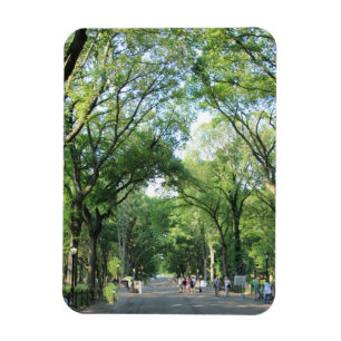 Central Park: Poet's Walk im Sommer Magnet