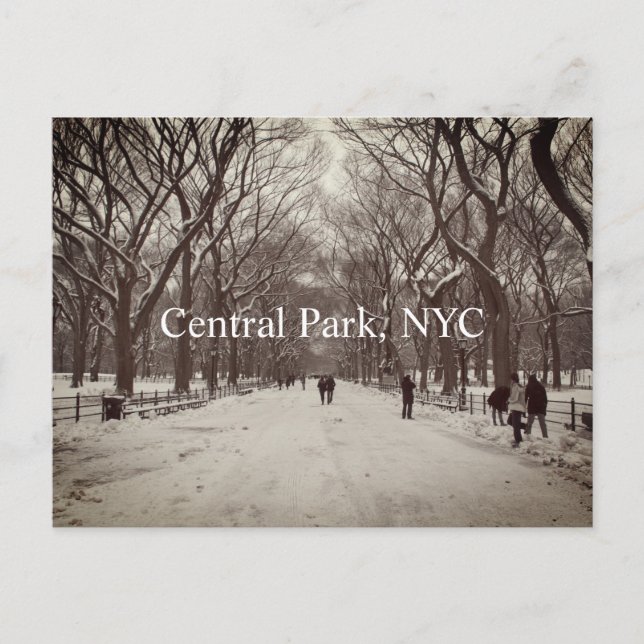 Central Park Postkarte (Vorderseite)