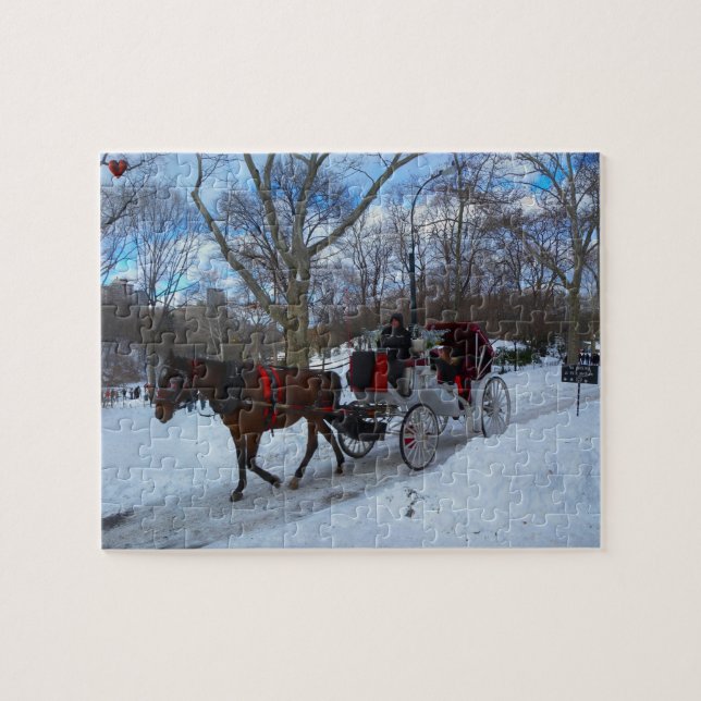 Central Park Puzzle (Horizontal)