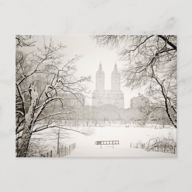 Central Park - Schöner Winterschnee Postkarte (Vorderseite)