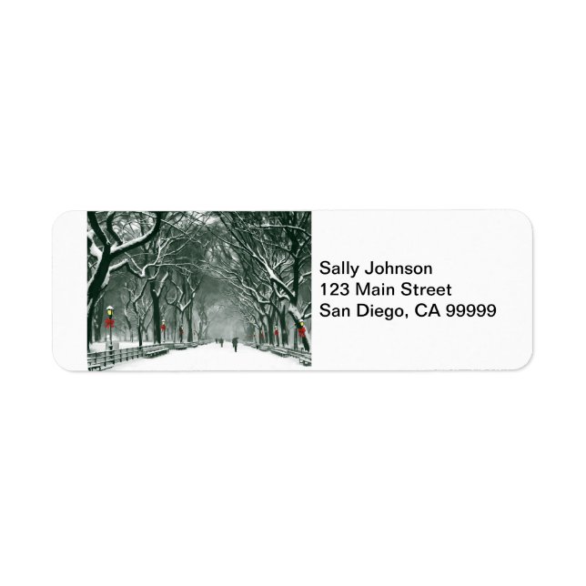 Central Park Snowy Path (Vorne)