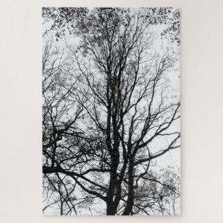 Central Park Spätherbst fast Barren Tree B&W Puzzle