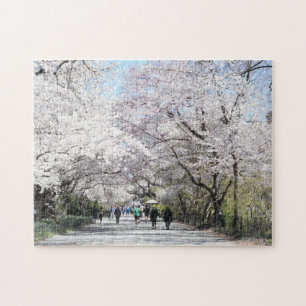 Central Park Spring Cheroms New York NYC Puzzle
