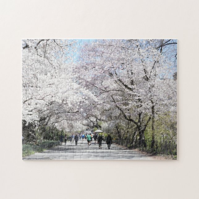Central Park Spring Cheroms New York NYC Puzzle (Horizontal)