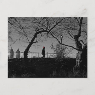 Central Park Walker Postcard Postkarte