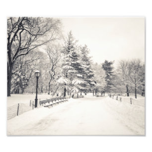 Central Park Winter Path - New York City Fotodruck