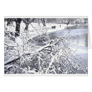 Central Park-Winter See