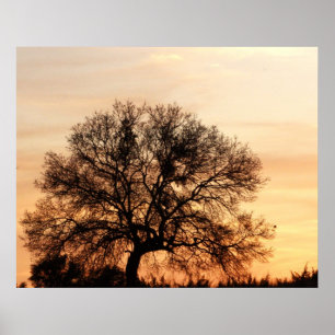 Central Texas Sunset Poster