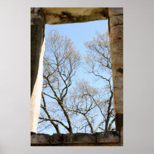 Central Texas View Poster