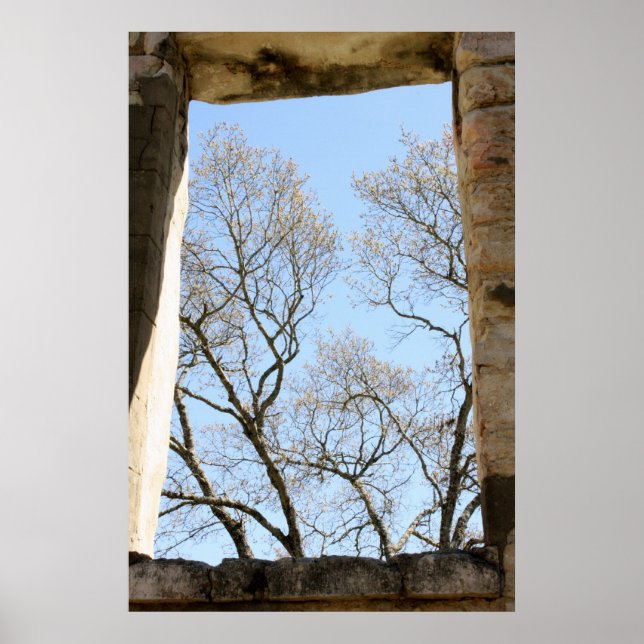 Central Texas View Poster (Vorne)