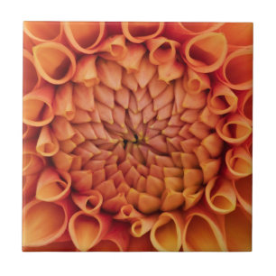 Centre Orange Dahlia Blume Fliese