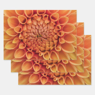 Centre Orange Dahlia Blume Geschenkpapier Set