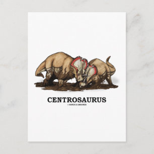 Centrosaurus Postkarte