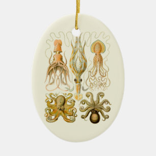 Cephalopod Octopus Tintenfisch Meeresnatur Keramikornament