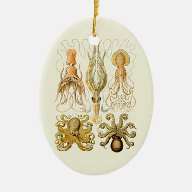 Cephalopod Octopus Tintenfisch Meeresnatur Keramikornament (Vorne)