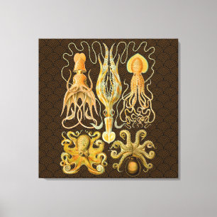Cephalopod Octopus Tintenfisch Meeresnatur Leinwanddruck