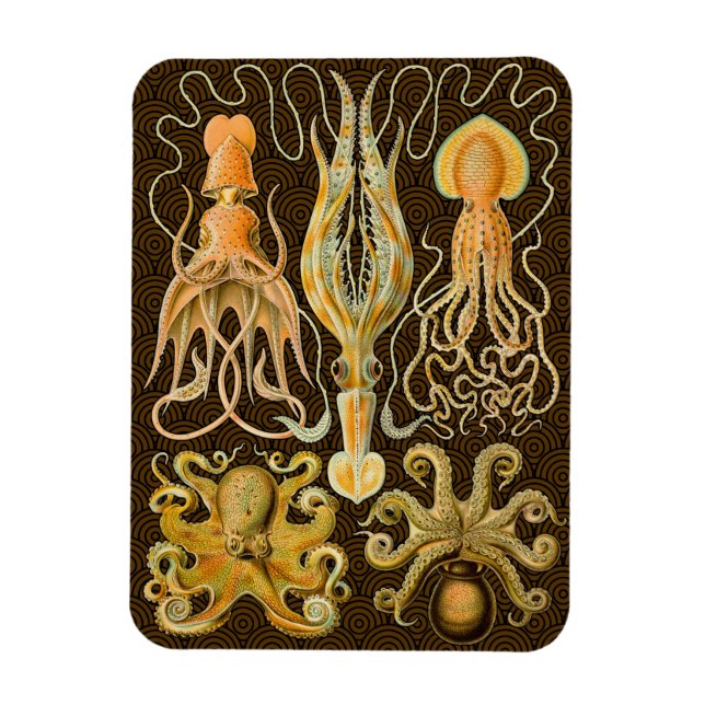 Cephalopod Octopus Tintenfisch Meeresnatur Magnet (Vertikal)