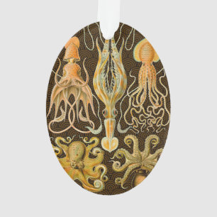 Cephalopod Octopus Tintenfisch Meeresnatur Ornament