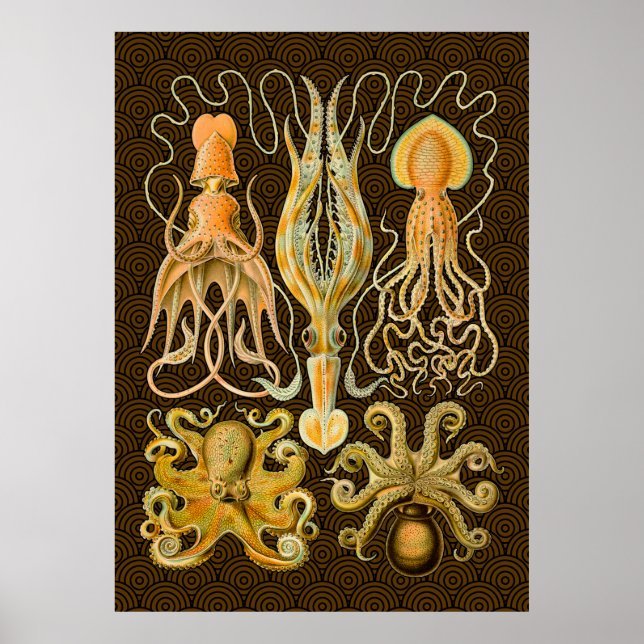 Cephalopod Octopus Tintenfisch Meeresnatur Poster (Vorne)