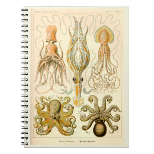 Cephalopod Octopus Tintenfisch Sea Notizblock