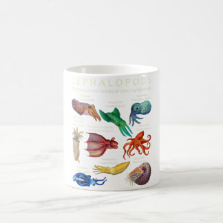 Cephalopod Octopus Tintenfisch Tintenfische Kaffeetasse