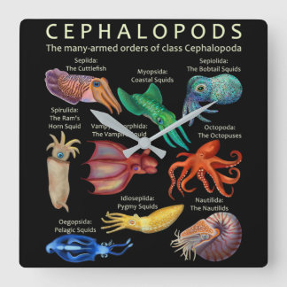 Cephalopod Octopus Tintenfisch Tintenfische Quadratische Wanduhr