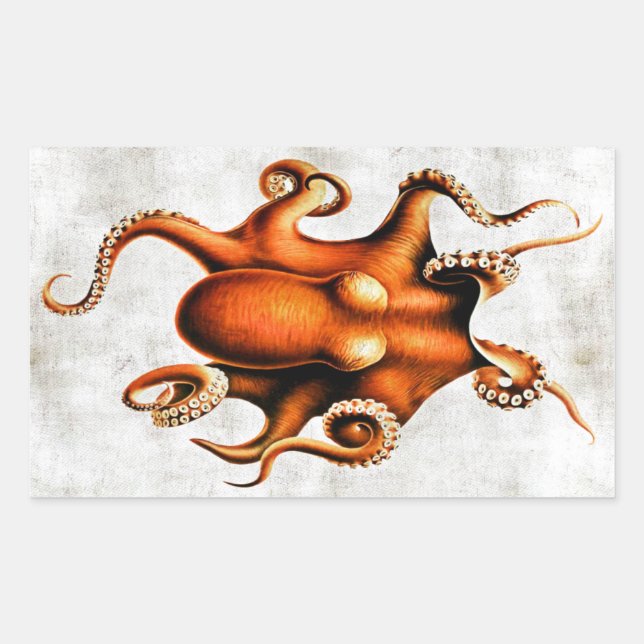 Cephalopoda der hawaiianischen Aufkleber (Vorderseite)