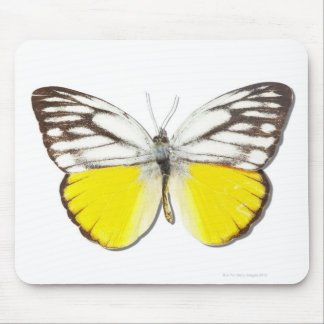 Cepora Aspasia Mousepad