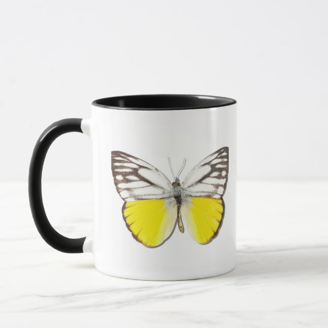 Cepora aspasia tasse (Links)